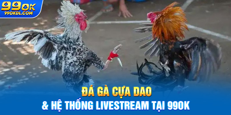 Đá gà cựa dao & hệ thống livestream tại 99ok