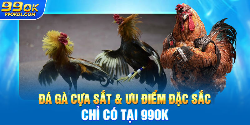 Đá gà cựa sắt & ưu điểm đặc sắc chỉ có tại 99ok