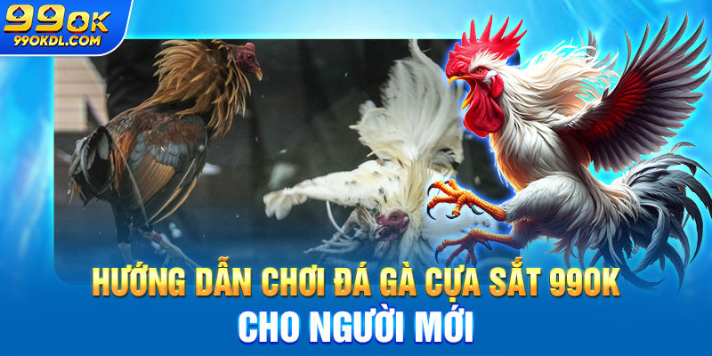 Hướng dẫn chơi đá gà cựa sắt 99ok cho người mới