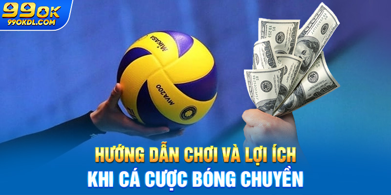 Hướng dẫn chơi và lợi ích khi cá cược bóng chuyền