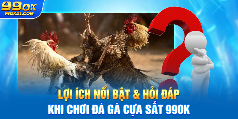 Lợi ích nổi bật & hỏi đáp khi chơi đá gà cựa sắt 99ok