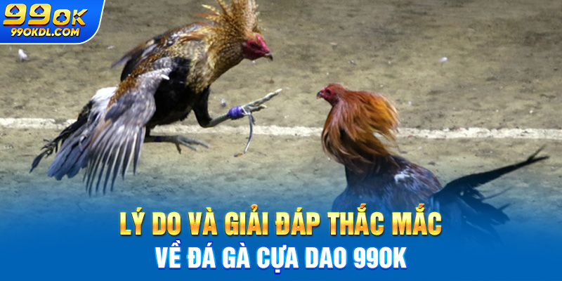 lý do và giải đáp thắc mắc về đá gà cựa dao 99ok